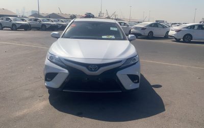 2019 Toyota Camry Axvh701049227 (3)